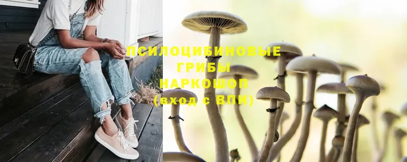 Галлюциногенные грибы Magic Shrooms  Палласовка 